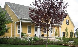 Carbon Contracting Inc photo 3